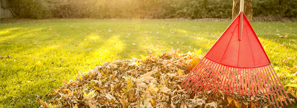 9 Things to Do For Your Home For Fall Checklist
